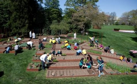 First Lady Michelle Obama joins students for the spring White House Kitchen Garden planting on the South Grounds, March 26, 2012. Helping Mrs. Obama are Girl Scout Troop 60325 in Fairport, N.Y.;and students from Stetson Elementary School in Chester, Pa.;K